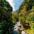 12 tips om je vakantie naar Suriname voor te bereiden